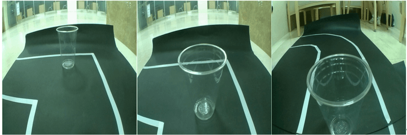 image for training before preprocess